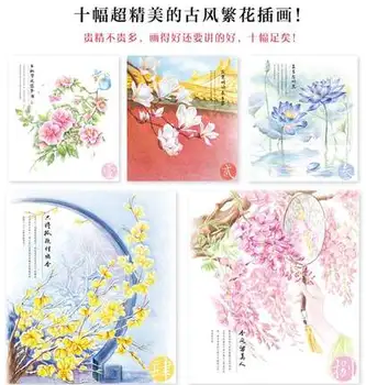 Chiński kolorowanki ołówek książka dla dorosłych, studiów chiński kwiat malarstwo poradnik dla początkujących uczniów w Feile Bird