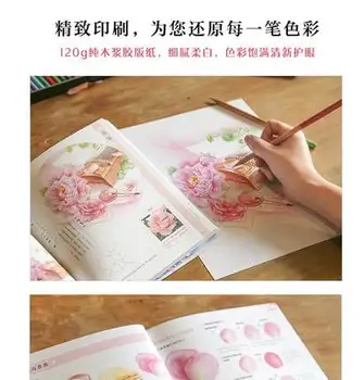 Chiński kolorowanki ołówek książka dla dorosłych, studiów chiński kwiat malarstwo poradnik dla początkujących uczniów w Feile Bird