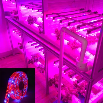 Pełna gama LED Grow Light Strip Phyto Lamp 5 metrów SMD 5050 LED Diode Fitolampy taśma do nasion roślin Hydroponika 5 szt./lot