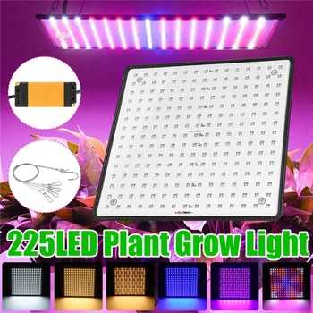Rośliny, kwiaty, Uprawy sadzonek rosnących lampy LED Grow Light 2000W 225 LED Full Spectrum Plant Garden Home Lighting