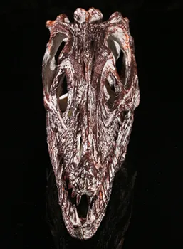 Welociraptor Żywica Czaszka Replika Głowa Model Szkielet Kolekcja Nauka Rysowania