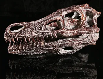 Welociraptor Żywica Czaszka Replika Głowa Model Szkielet Kolekcja Nauka Rysowania